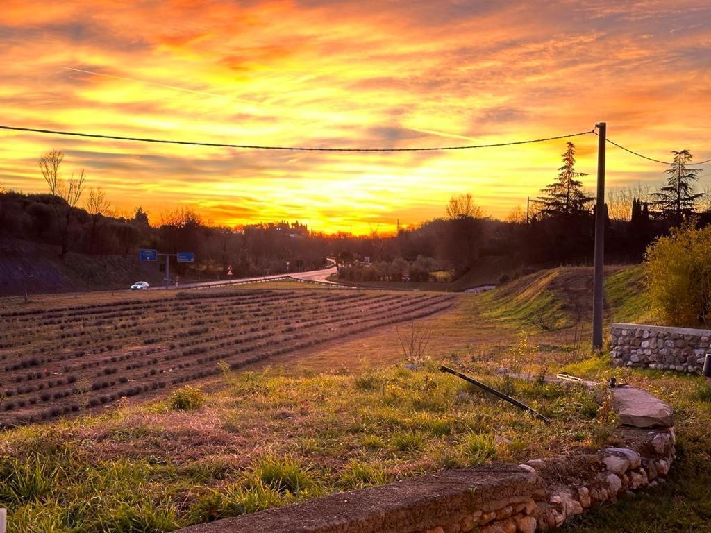Agriturismo Al Mancino 纳托 外观 照片