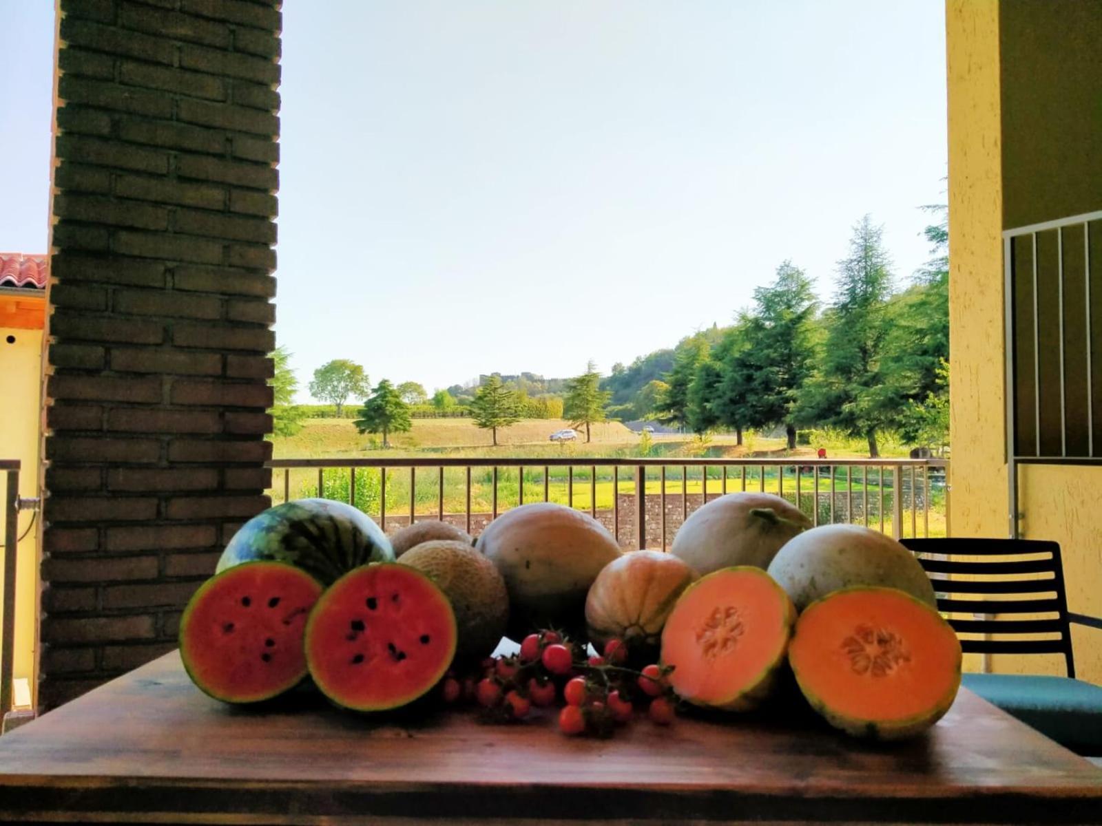 Agriturismo Al Mancino 纳托 外观 照片
